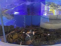 -小渔莊•地道胶东菜(旅游路万象省博物馆店)