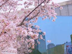 -龙美术馆(西岸馆)