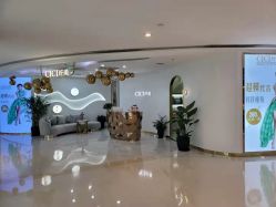 -CICI纤美·科技减肥美容