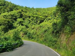 -大余丫山旅游度假区