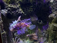 -太平洋海底世界