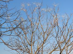 -盘龙城国家考古遗址公园