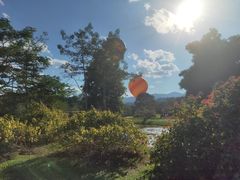 -中国科学院西双版纳热带植物园