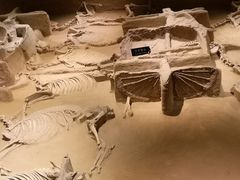 -洛阳周王城天子驾六博物馆