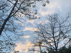 -萨莉亚意式餐厅(京溪南方医院店)