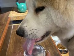 -YCHL Studios健身工作室(市二宫店)