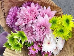 -呼吸森林·生态农庄农家乐私房菜