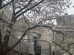 -上海黄浦旅游集散站售票处