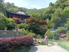 -十八棵（老龙井）御茶园(老龙井店)