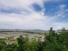 -蛇蟠岛