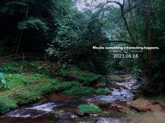 -碧峰峡风景区
