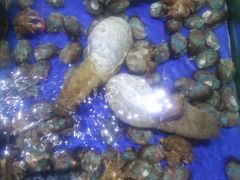 -山东八大碗山东老字号