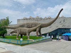 -安徽省地质博物馆