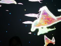 -暹罗海洋世界