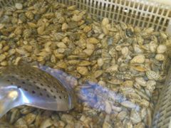 android_upload_pic-羊汤研究所(茶苑海口路店)