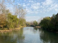 -溱湖国家湿地公园