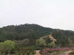 -灵岩山风景区