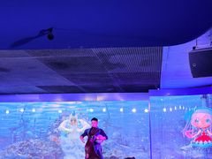 -欢乐海岸海洋奇梦馆