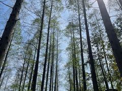 -上海怡沁园度假酒店