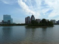 -金沙湖公园