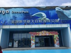 -芜湖新华联大白鲸海洋公园