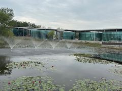 -滕州微山湖红荷湿地景区