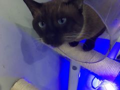 -极木²邸 人与宠物·互动社区