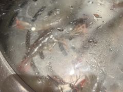 -天鹰观渔(梦园店)