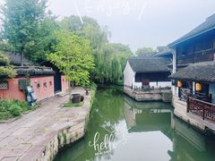 -鲁镇
