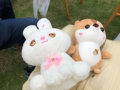 -厦门帝元维多利亚大酒店(环岛路黄厝海滩店)