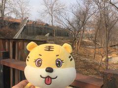 -石家庄市动物园