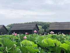 -太湖湾开元名庭大酒店