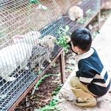 主城小众遛娃农场&松林烧烤&露营⛺️&捉鸡磨豆浆喂兔子🐰
