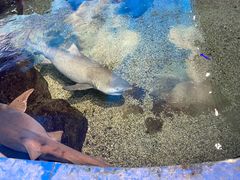 -鸿通城购物中心