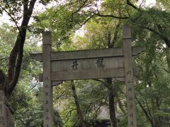 -龙井壹号·茶缘山景宴(龙井村店)