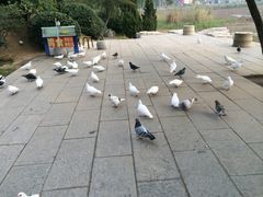 -中国翰园碑林