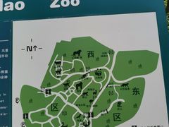 -青岛动物园