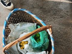 -马陆小张葡萄园农家乐