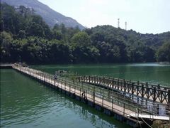 -广州市流溪河国家森林公园