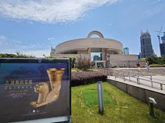 -上海博物馆(人民广场馆)