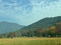 -塔川景区