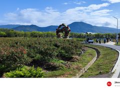 -亚龙湾国际玫瑰谷