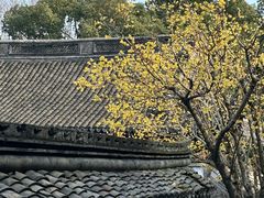 -宁波市保国寺古建筑博物馆