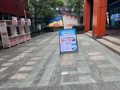 -海合安武汉极地海洋公园