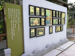 -成都市活水公园