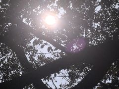 -灵顺寺