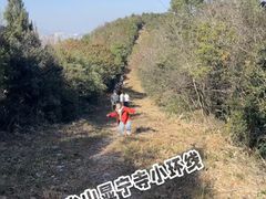 -杭州半山国家森林公园