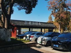-长田漾湿地公园