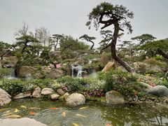 -罗红摄影艺术馆