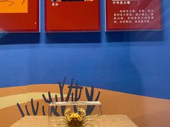 -广东省博物馆